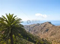 包含巴特勒末曾一心留队悬念揭晓的词条